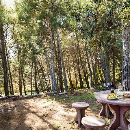 Cesarina Amazing With Private Pool In The Tuscan Hills *